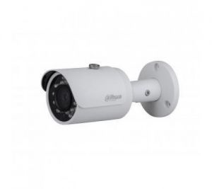 CAMERA IP DSS DS2130FIP